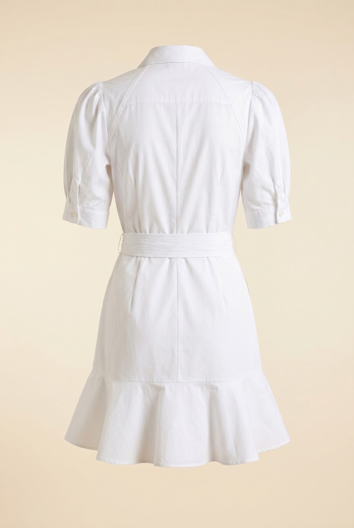 Molly Mini Shirt Dress — back view