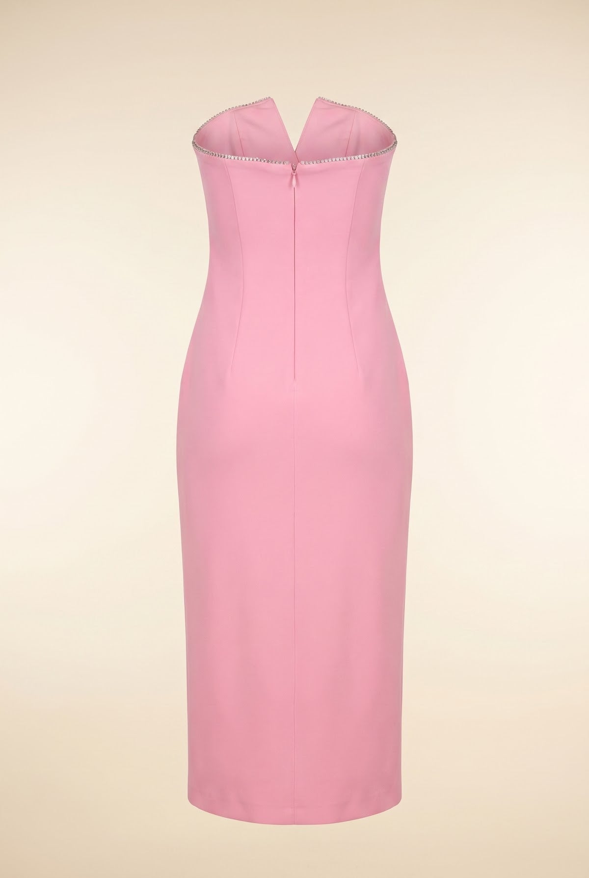 Embellished Bodycon — back view