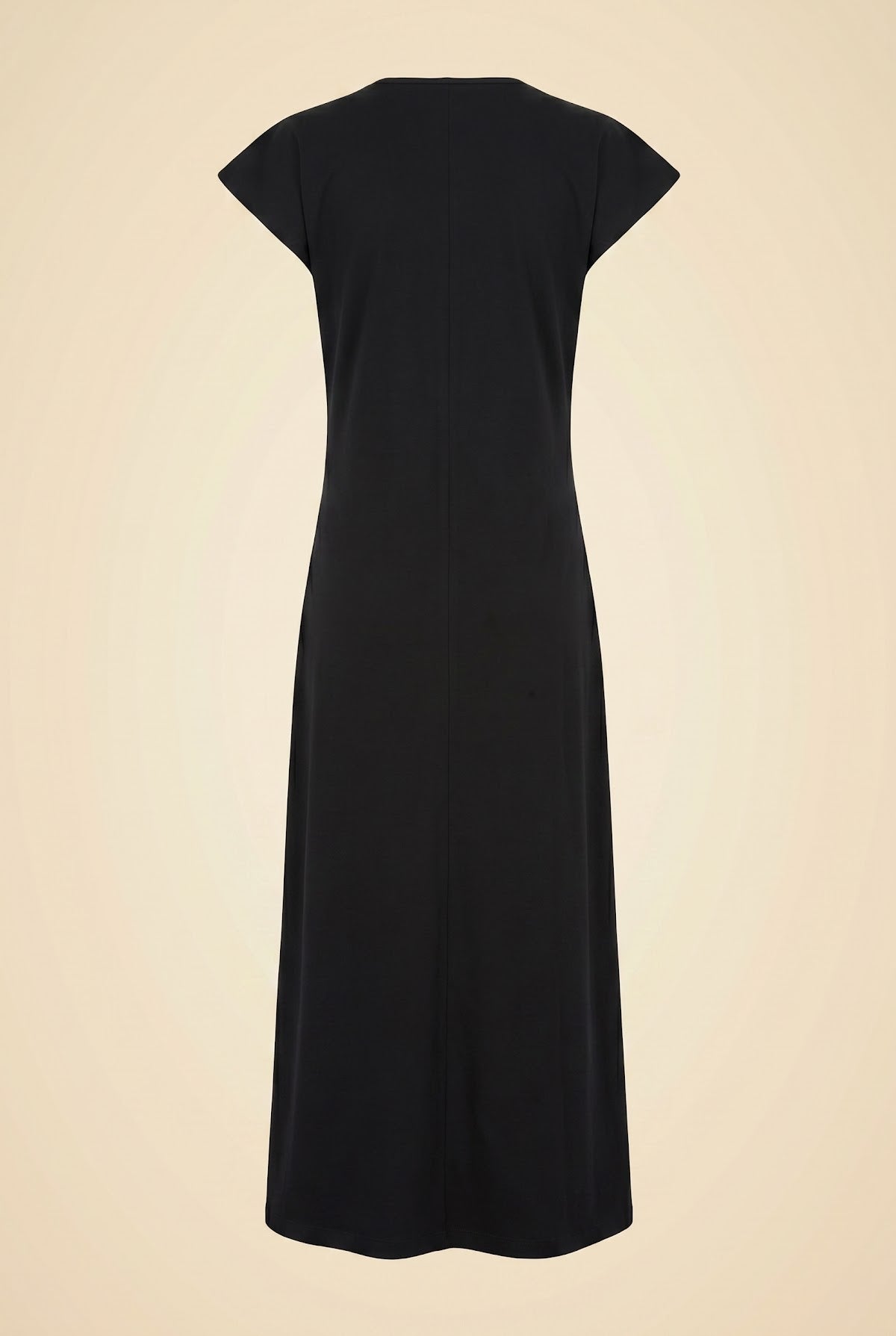 Isabel Marant Dress — back view