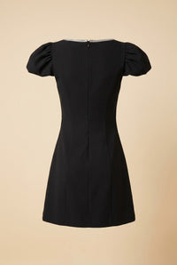 Luna Mini Dress — back view