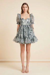 Bebe Bloom Heritage Dress — back view