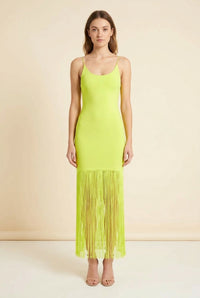 Steph Scoop Neck Fringe Dress — back view