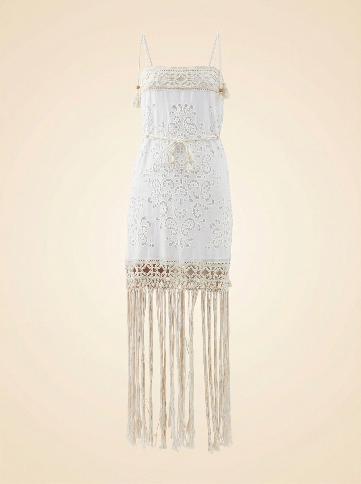 Zimmermann Vitali Fringed Embroidered Mini Dress
