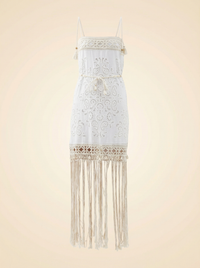 Zimmermann Vitali Fringed Embroidered Mini Dress