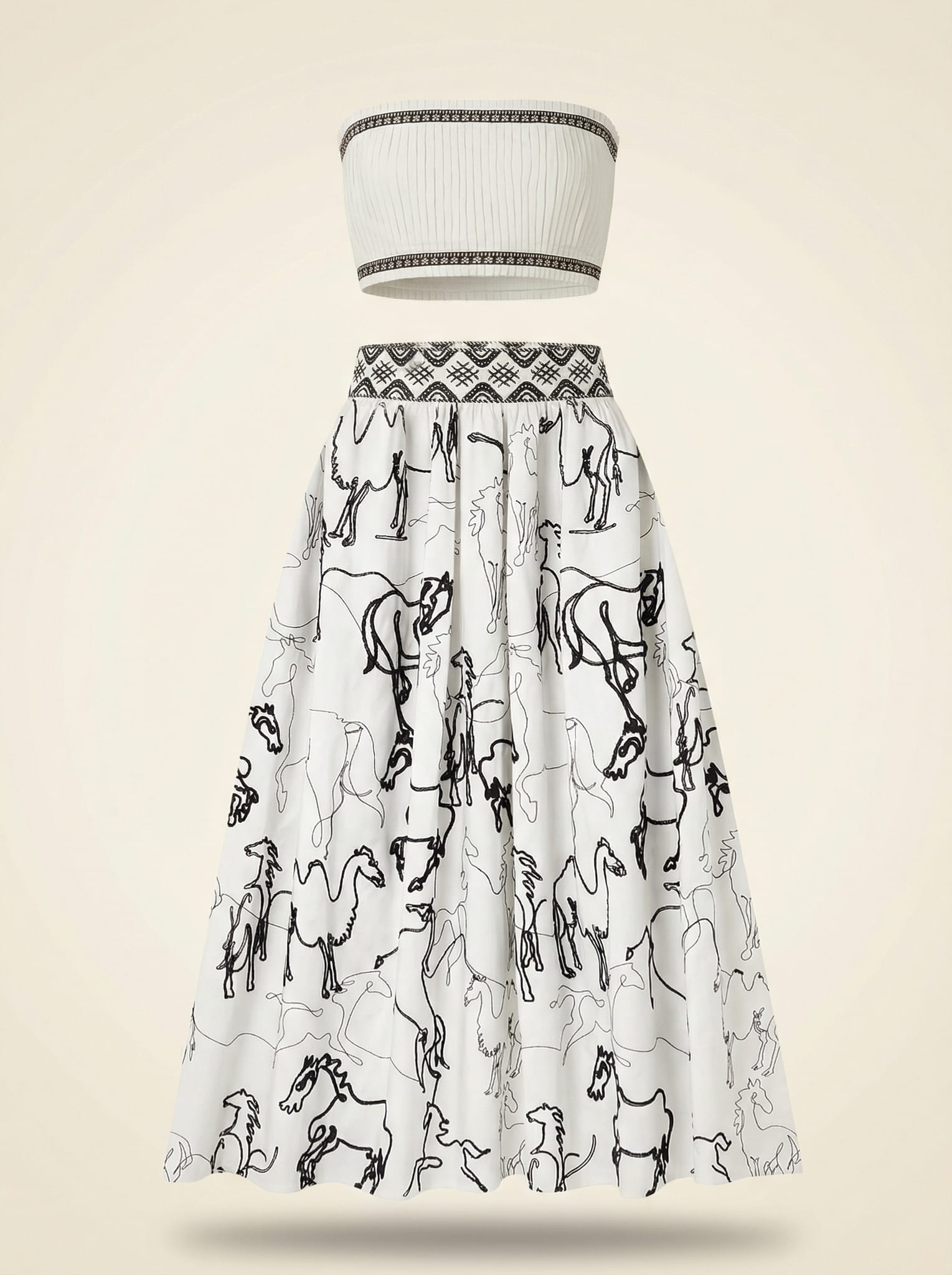 Ombretta Embroidered Maxi Skirt and Top