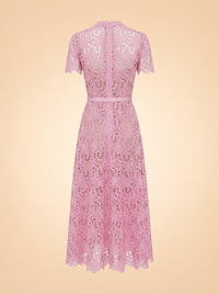 Guipure Lace Belted Midi Dress ghost_back