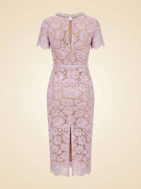 Midi Lace Dress - back