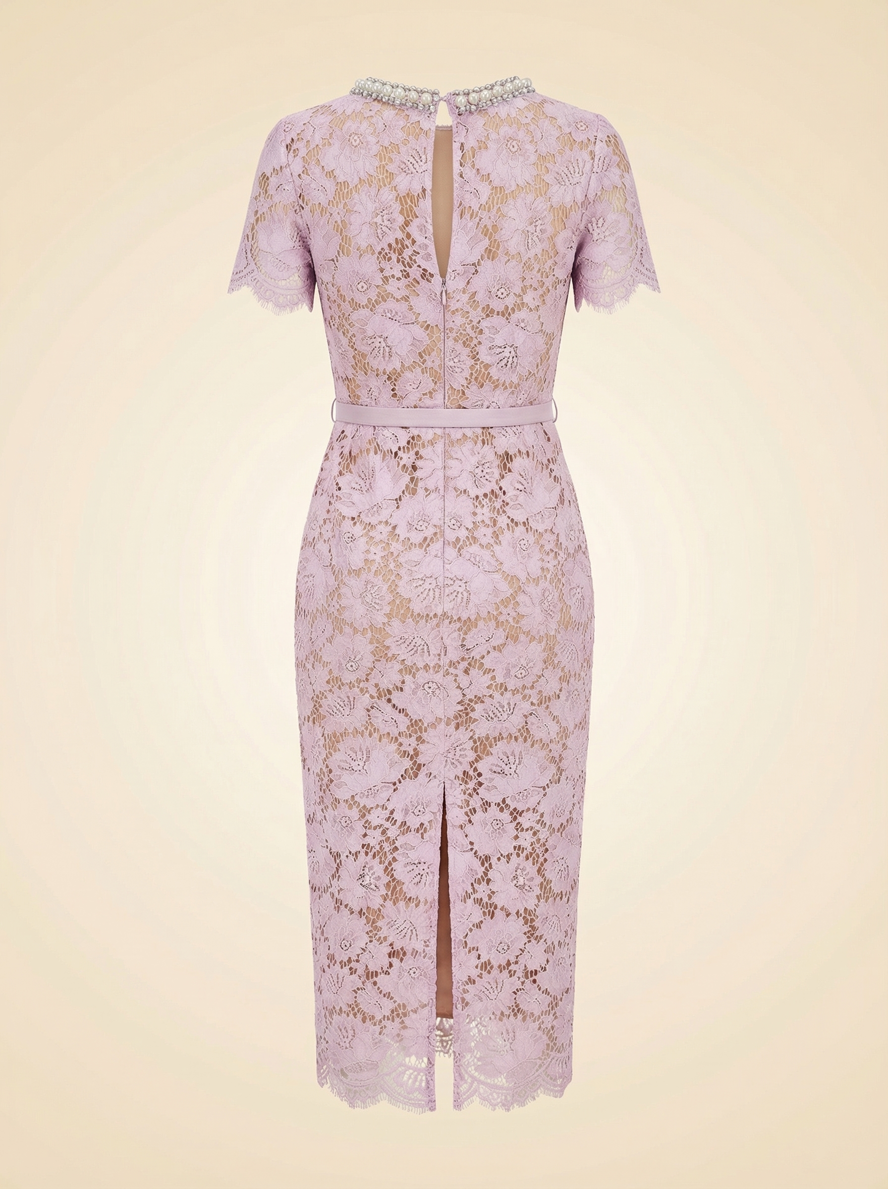 Midi Lace Dress - back