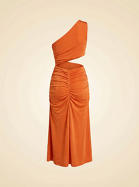 Ronny Kobo Donna Dress - back