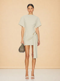 Martini Mini Dress — Lioness