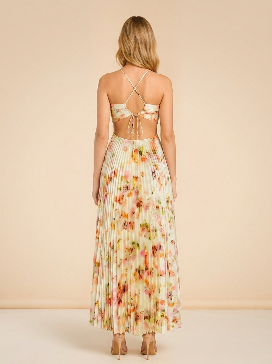 Moira Dress model_back