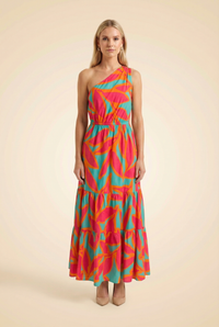 Red Analeah Garden Glory Printed Maxi Dress