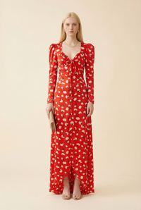 Long Silk Dress
