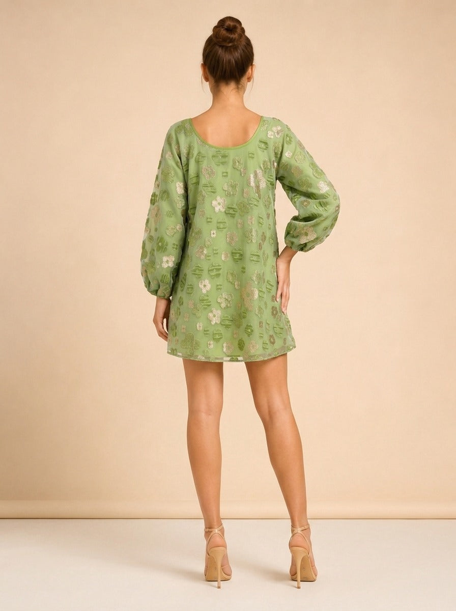 Retro Green Organza Good Luck Dress