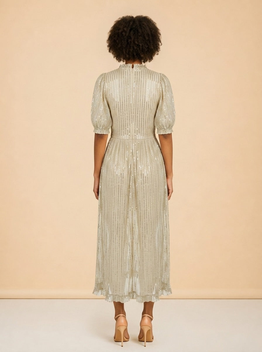 Sparkly see-through dress model_back