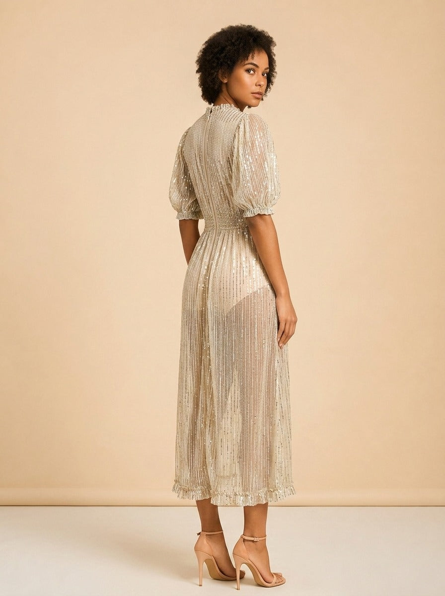 Sparkly see-through dress model_over_shoulder