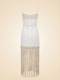 Zimmermann Vitali Fringed Embroidered Mini Dress - back